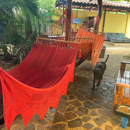 Tamarindo Backpackers Hostel Ngoại thất bức ảnh