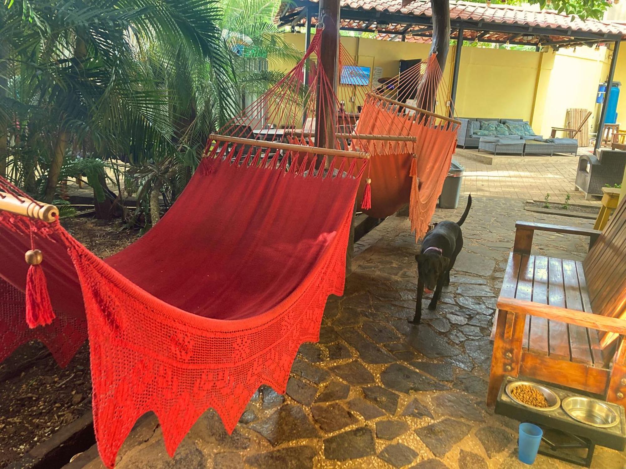 Tamarindo Backpackers Hostel Ngoại thất bức ảnh