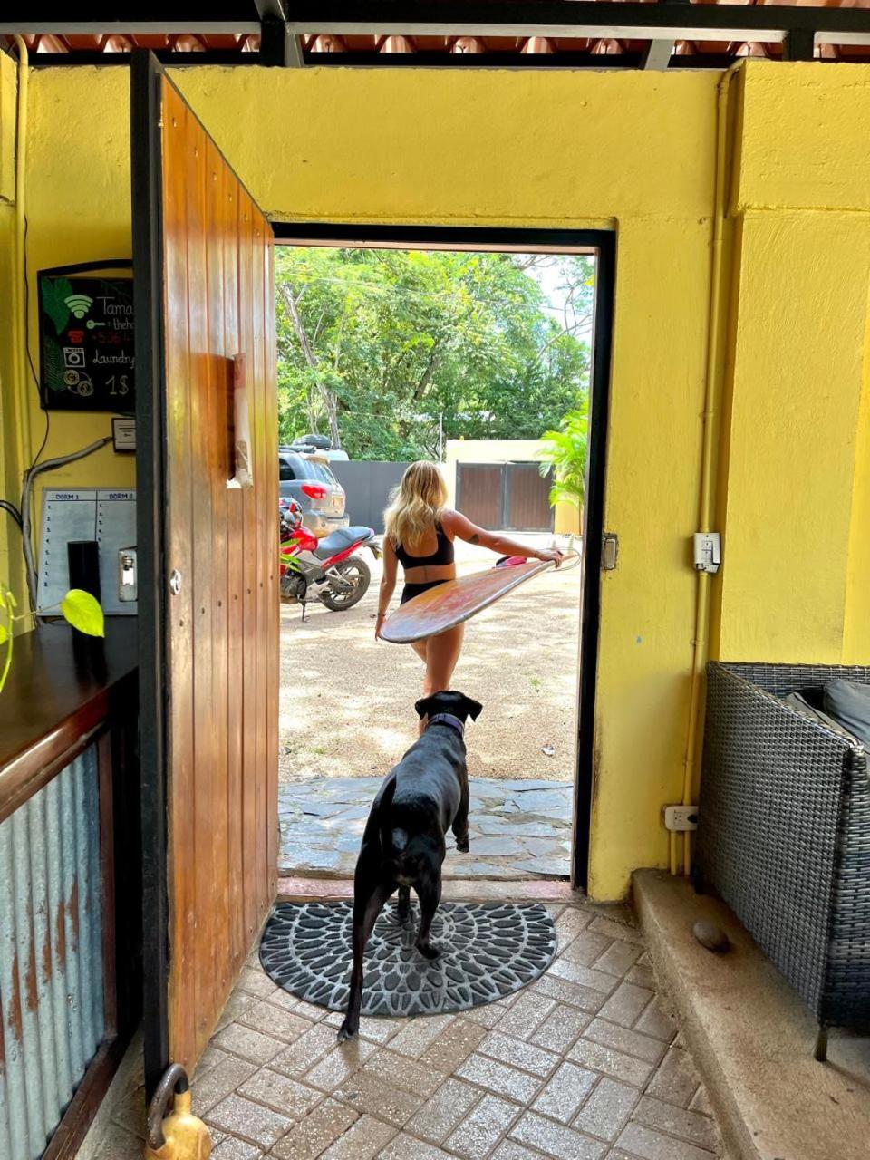 Tamarindo Backpackers Hostel Ngoại thất bức ảnh